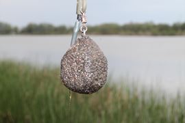 PLUMBI Carp Fishing Leads